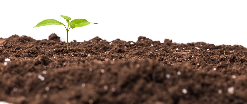 Soil Testing Analysis Everything About Its Benefits Importance