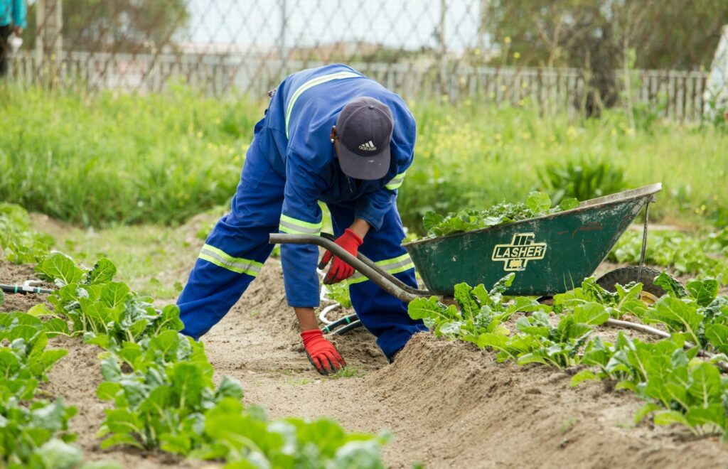 Digital farming solutions