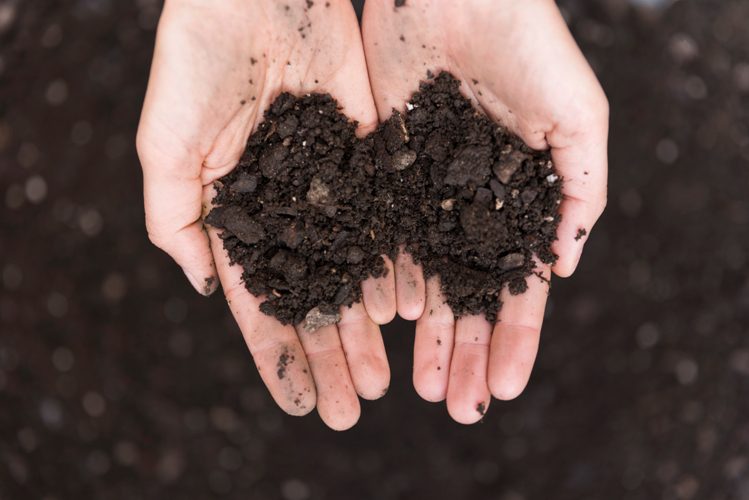 soil organic carbon