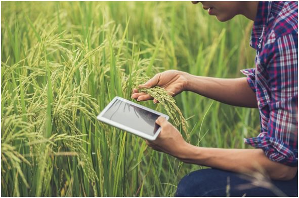 digital farming technology