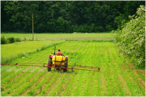 fertilizer recommendation based on soil test 