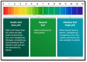 fertilizer recommendation based on soil test 