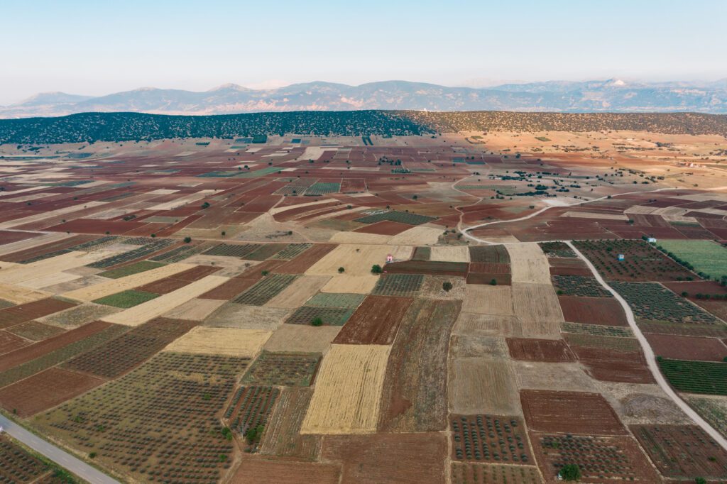 Field Mapping A Path To Ensure The Highest Yield In Precision Farming field-mapping-a-path-to-ensure-the-highest-yield-in-precision-farming