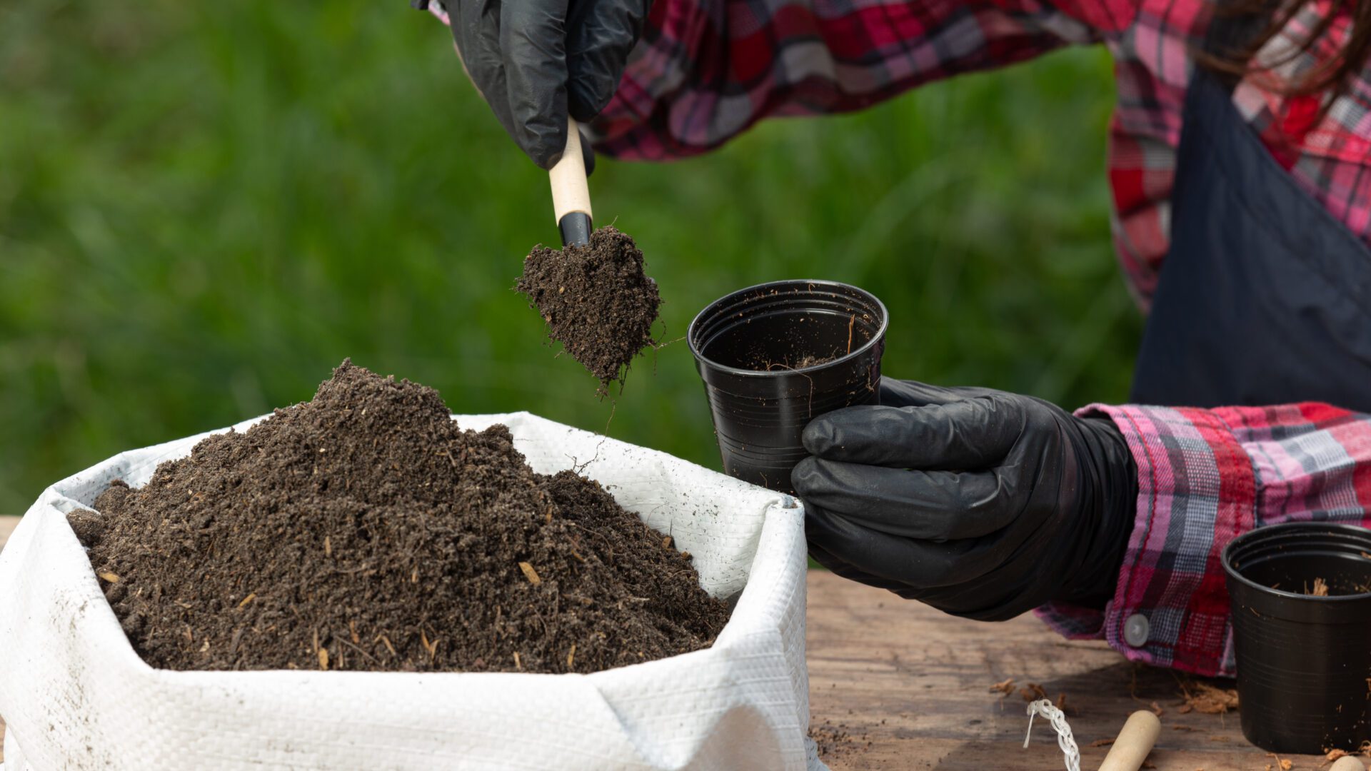 Soil Test Fertilizer Recommendations