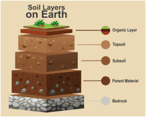 agricultural soil testing