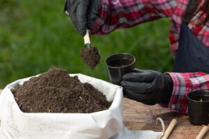fertilizer recommendations based on soil test