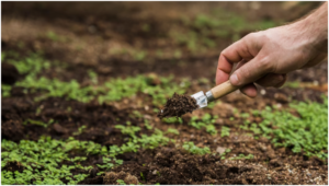 soil tests for agriculture