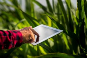IoT-Powered Digital Analytics in digital farming technology