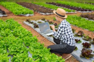 digital farming solutions