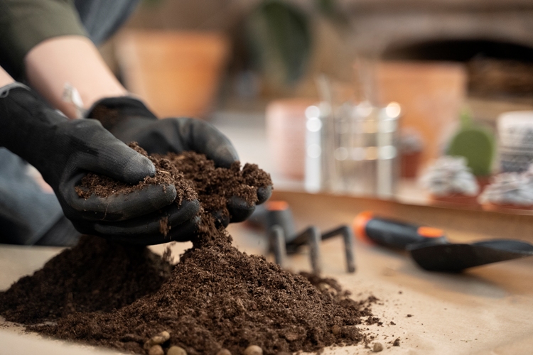 How Soil Testing Can Identify Healthy vs. Unhealthy Soils?