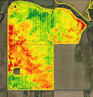 Figure 1: Yield Map of West Case Study field after following standard crop production fertilization strategies- 2023                                    