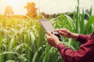 Digital Farming in the United States