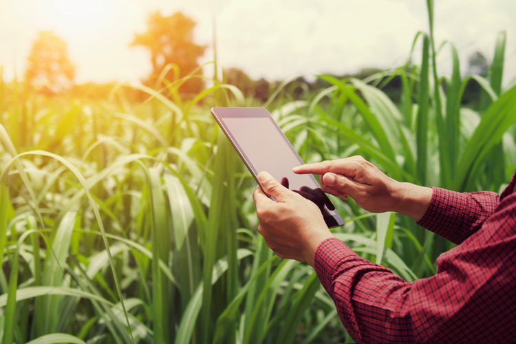 Digital Farming in the United States