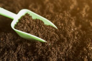 soil organic carbon above ground biomass