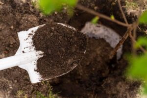 soil health in the USA 