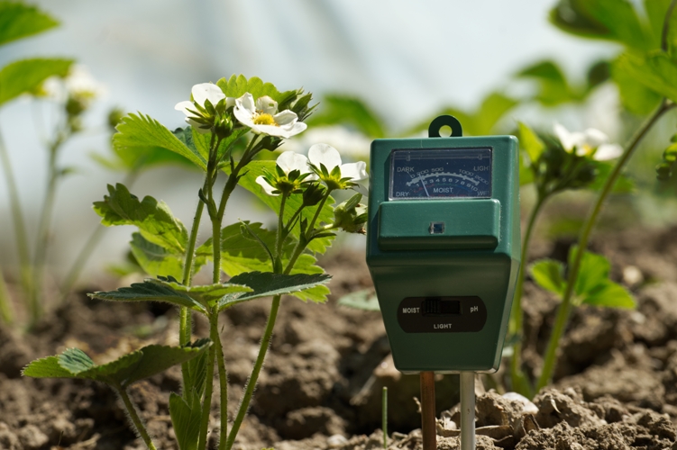 Digital Soil pH Tester in USA