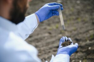 Soil Testing in the USA