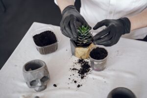 Soil Carbon Sequestration