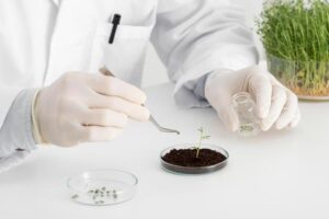 Soil Nutrient Testing